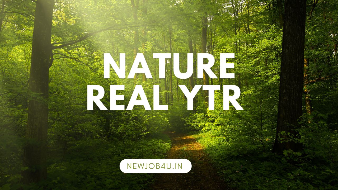 Nature Real YTR